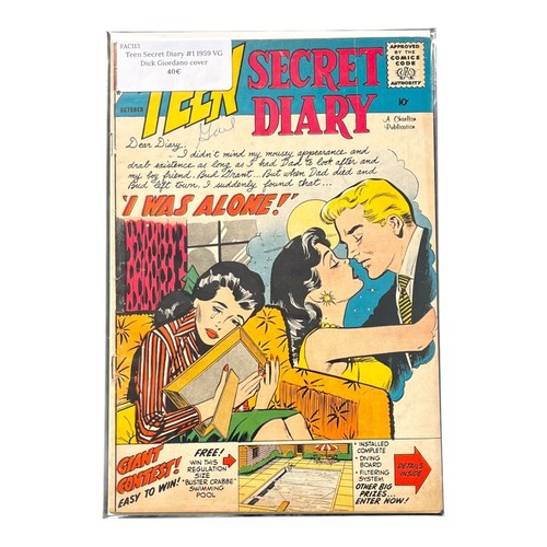 Teen secret diary 1959 - diary,